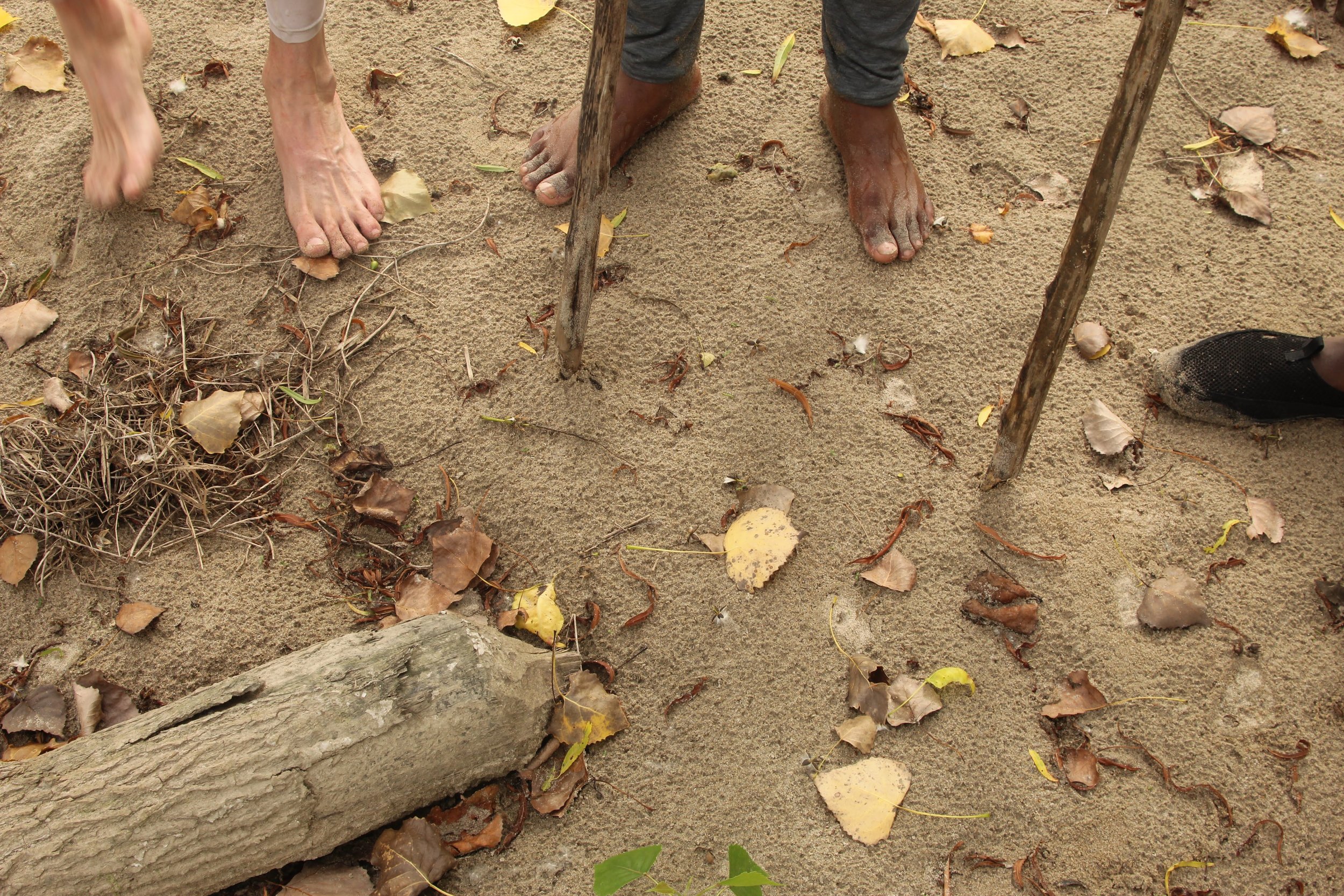 Day 3: Island 64 to Island 67